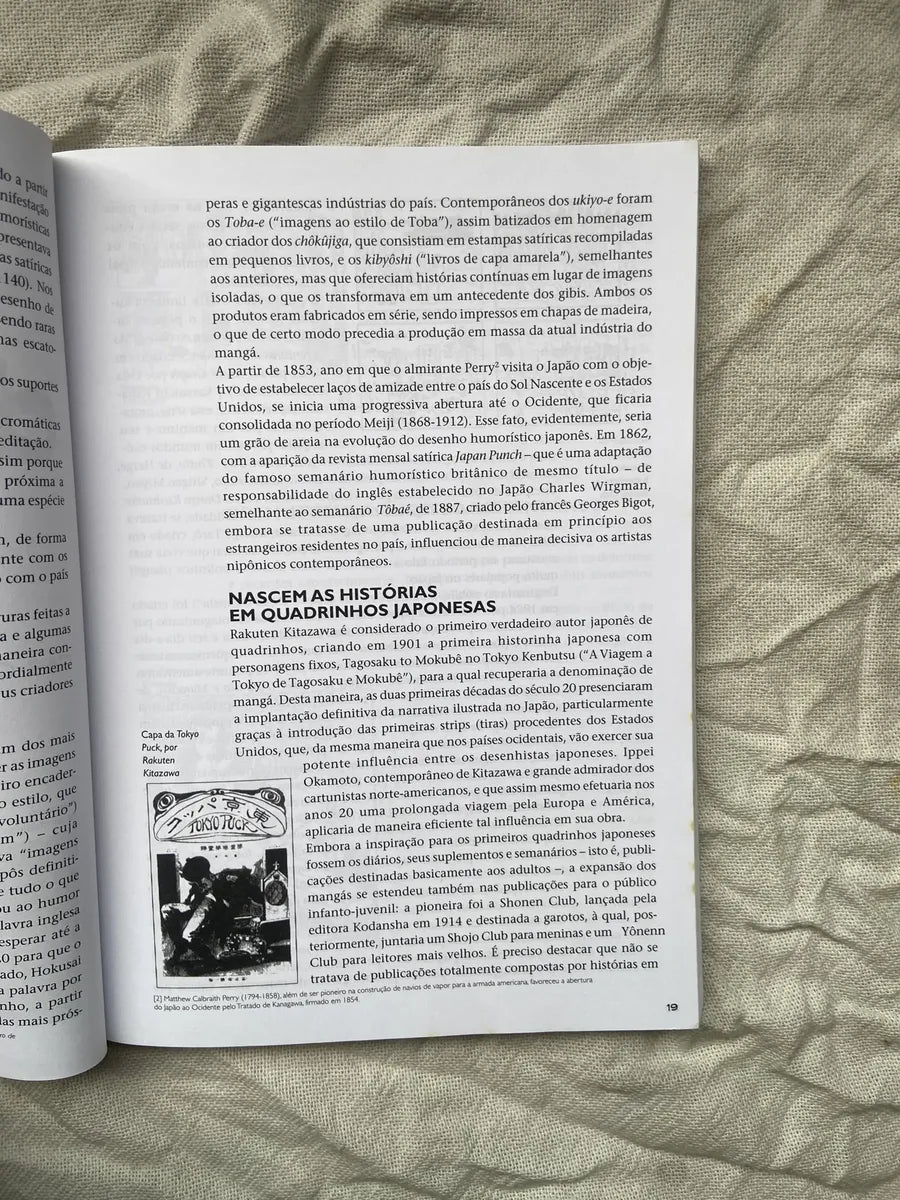 Livro O Grande Livro Dos Mangás Alfons Moliné 2004 (Usado)