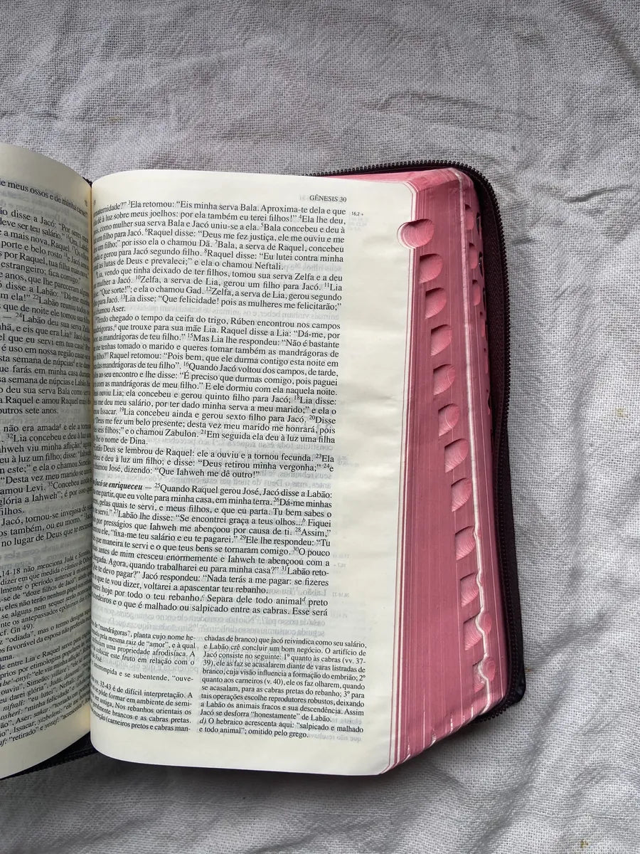 Livro Bíblia De Jerusalém Nova Edição Revista 2002 (Usado)