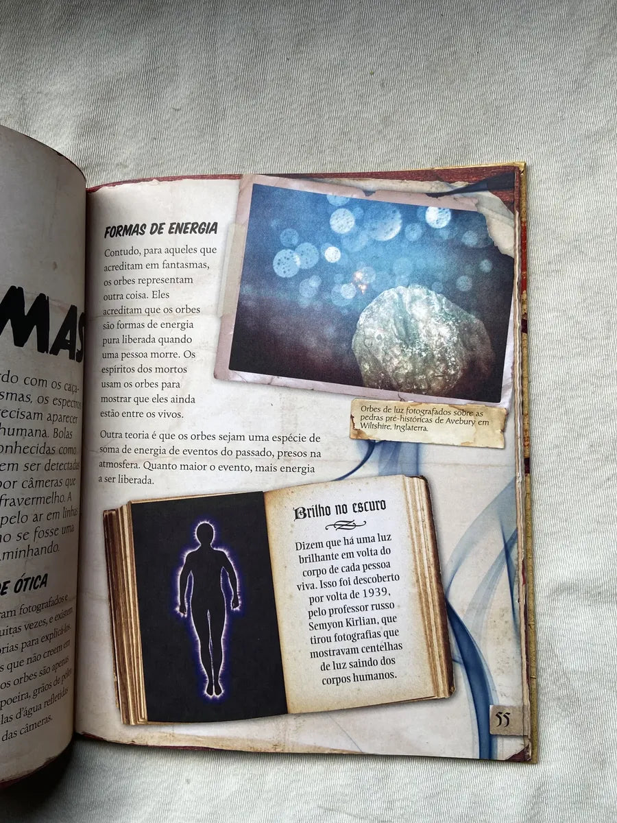 Livro Monstro Mania Fantasmas Lobisomens Bruxas E Vampiros (Usado)