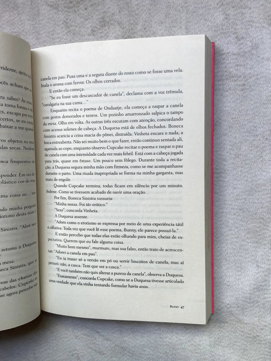 Livro Bunny Mona Awad 1° Edição 2024 (Usado)