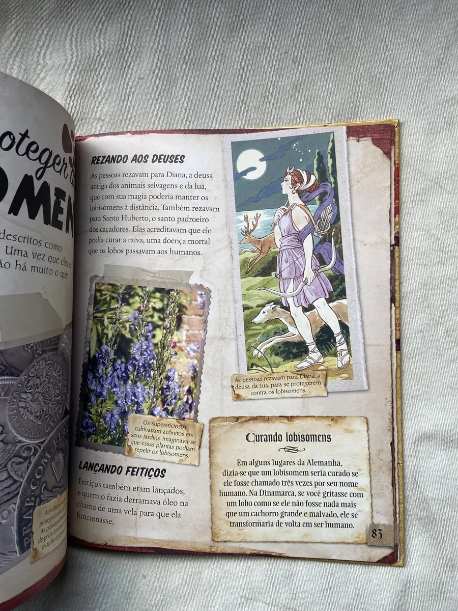 Livro Monstro Mania Fantasmas Lobisomens Bruxas E Vampiros (Usado)