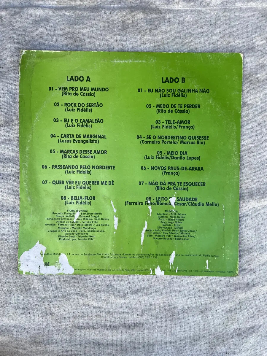 Lp Forro Mastruz Com Leite Rock Do Sertão 1994 (Usado)
