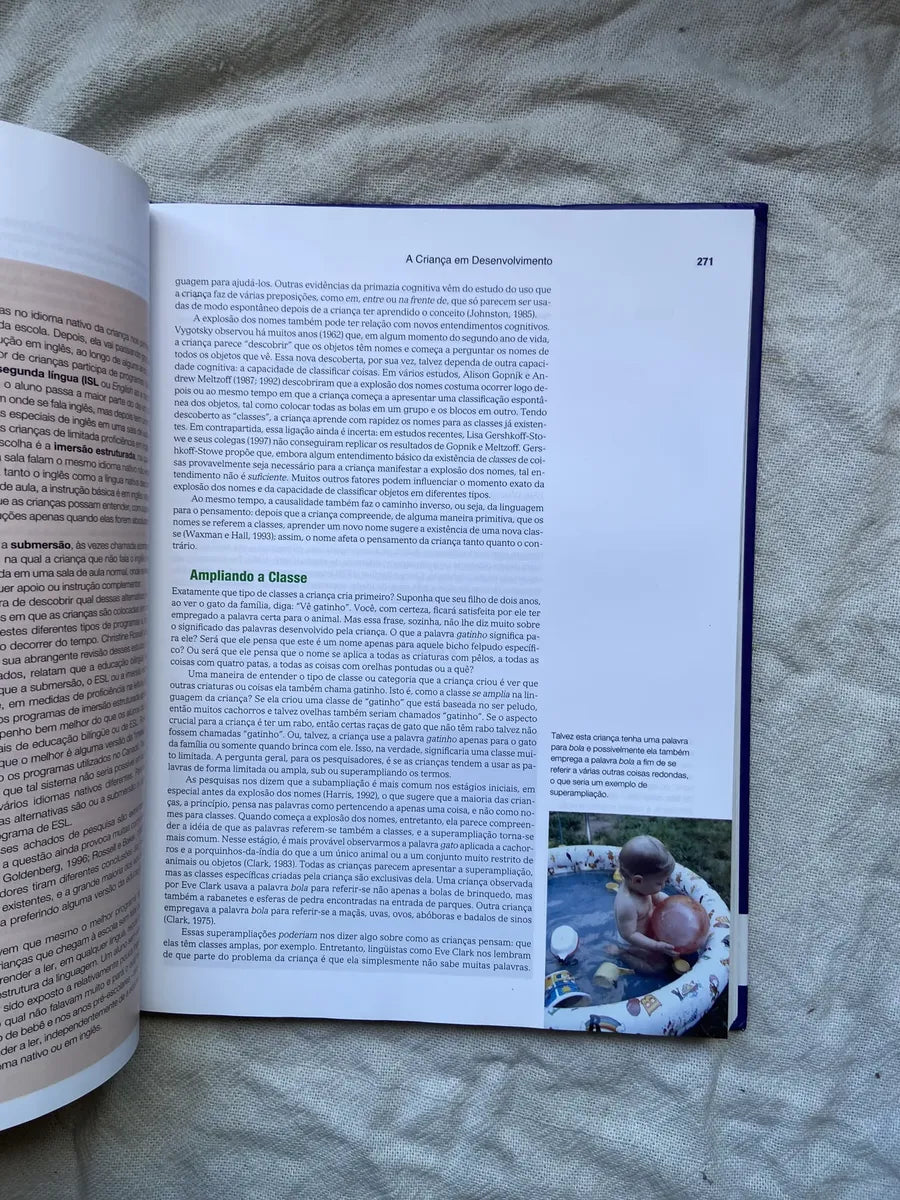Livro A Criança Em Desenvolvimento Helen Bee 9 Edição 2003 (Usado)