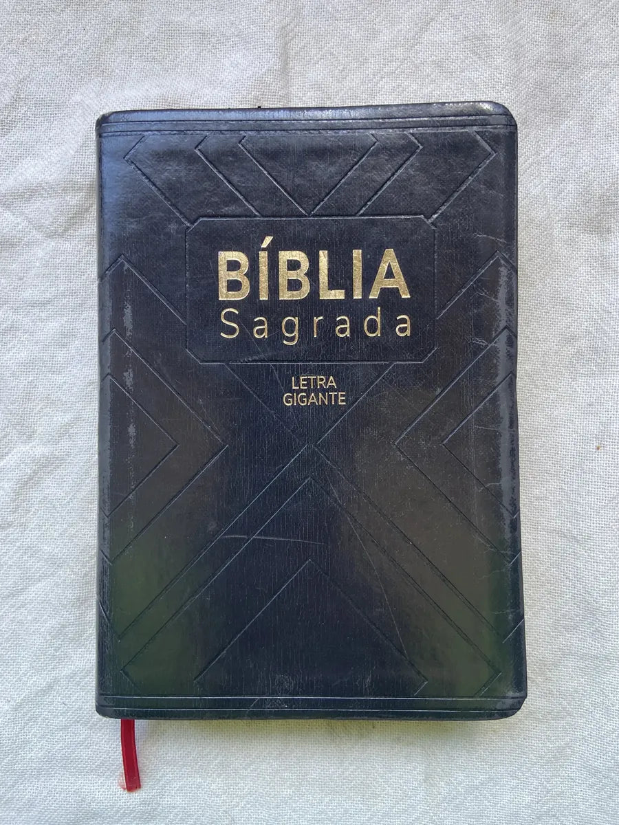 Livro Bíblia Sagrada Letra Gigante Nova Almeida Atualizada (Usado)