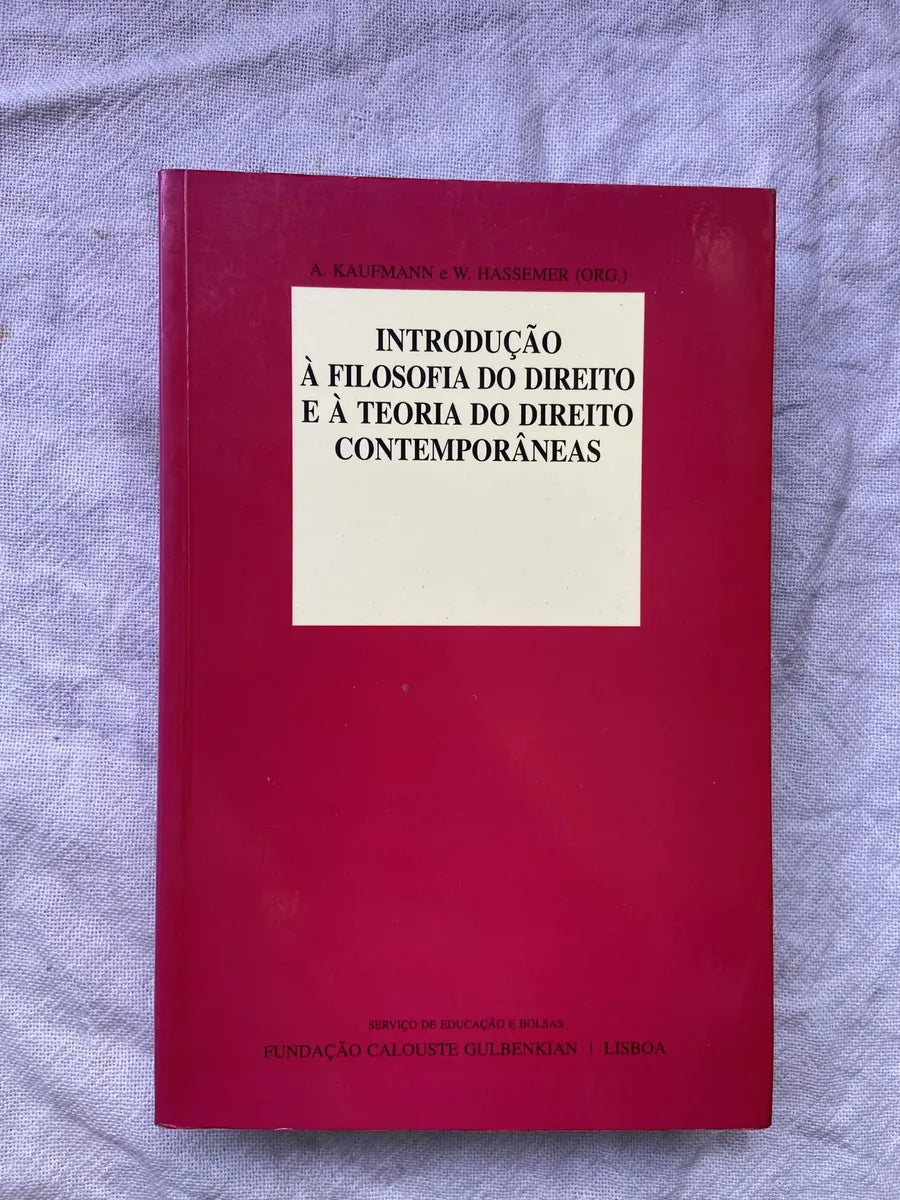 Livro Introdução A Filosofia Do Direito E Teoria Do Direito (Usado)