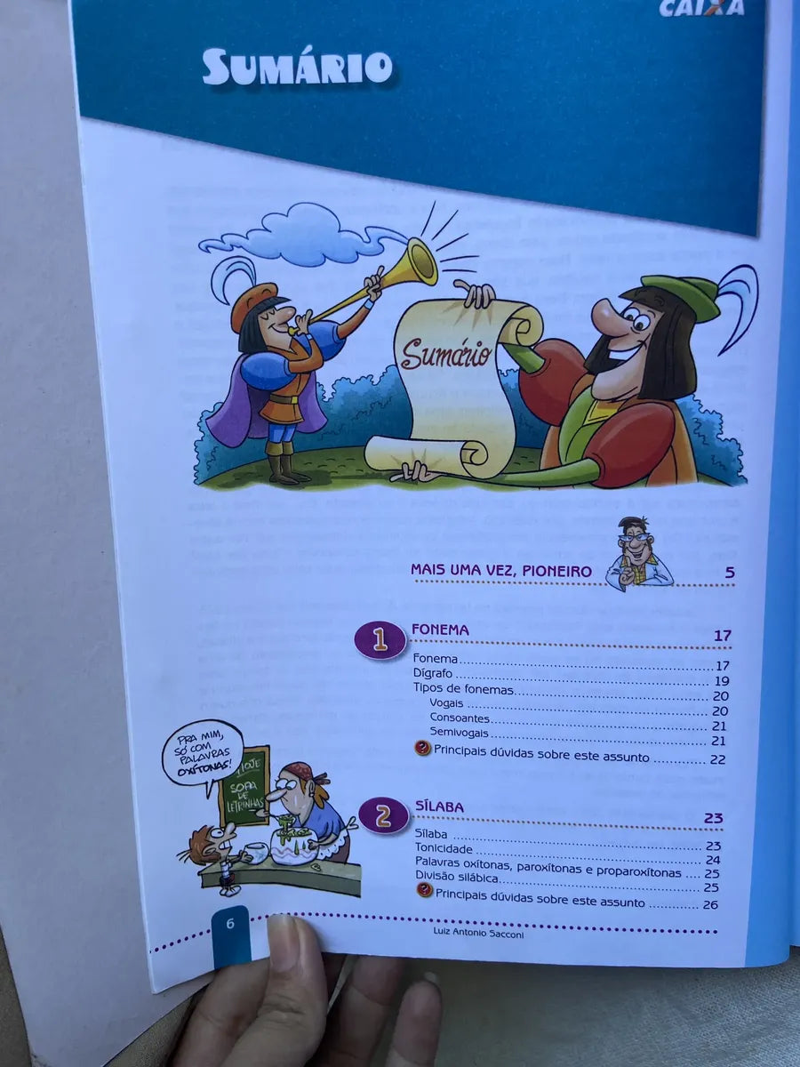Livro Novíssima Gramática Ilustrada Sacconi 2008 (Usado)