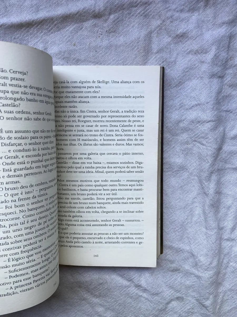 Livro O Último Desejo Andrezej Sapkowski Livro 1 (Usado)