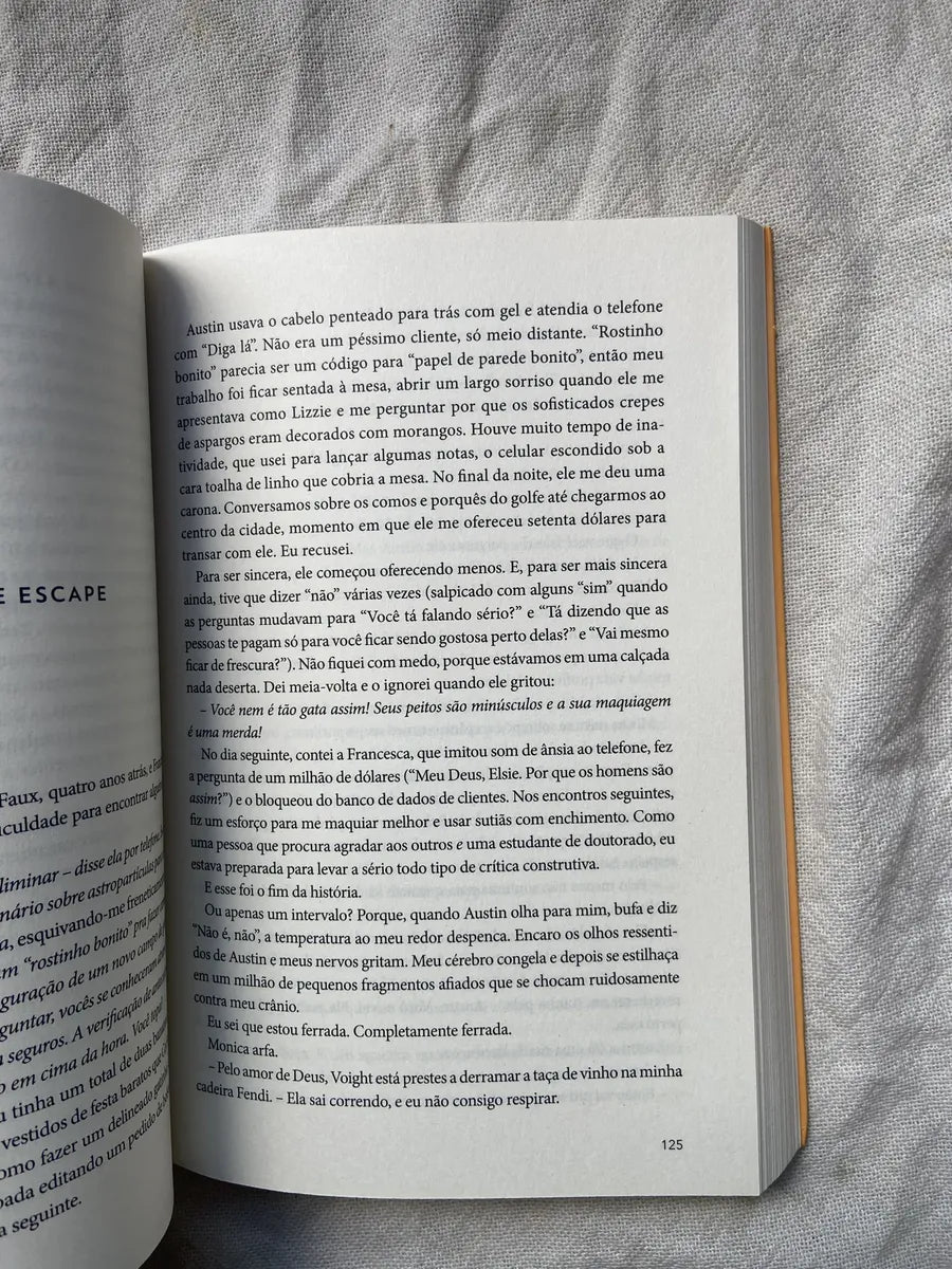 Livro Amor Teoricamente Ali Hazelwood 1 Edição 2023 (Usado)