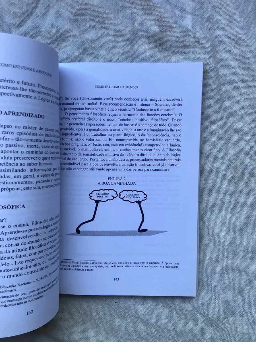 Livro Como Estudar E Aprender Como Se Tornar Autodidata 2 Ed (Usado)