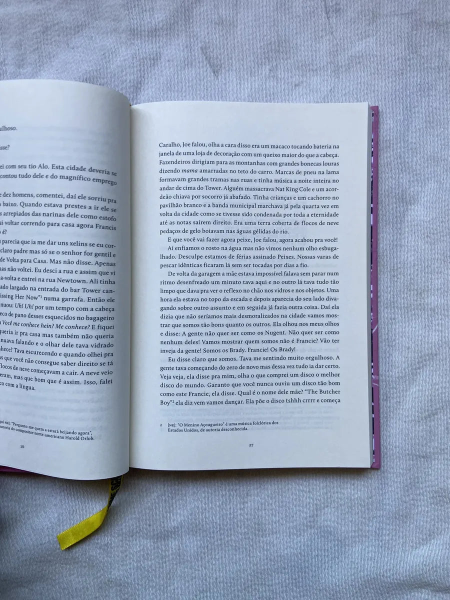 Livro Patrick Mac Cabe Butcher Boy 2021 (Usado)