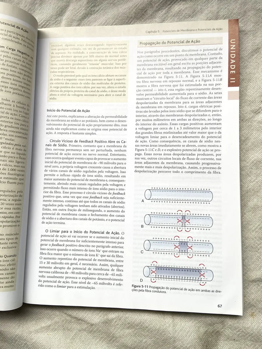 Livro Tratado De Fisiologia Médica Guyton E Hall Box 3 Vol (Usado)