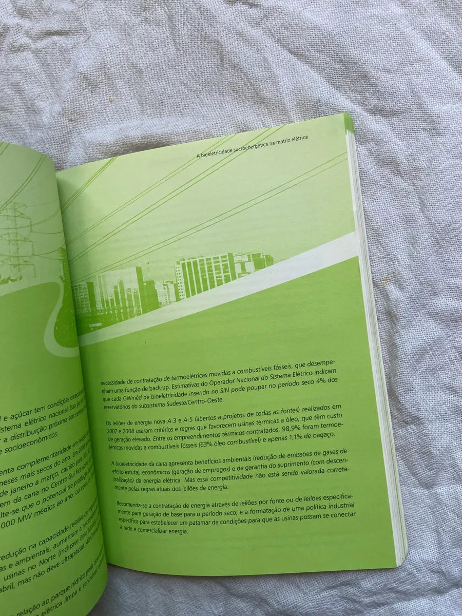 Livro Etanal E Bioletricidade 2010 (Usado)