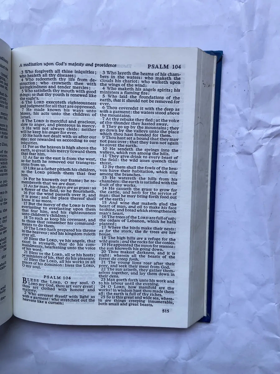 Livro The Bible Authorized Version (Usado)