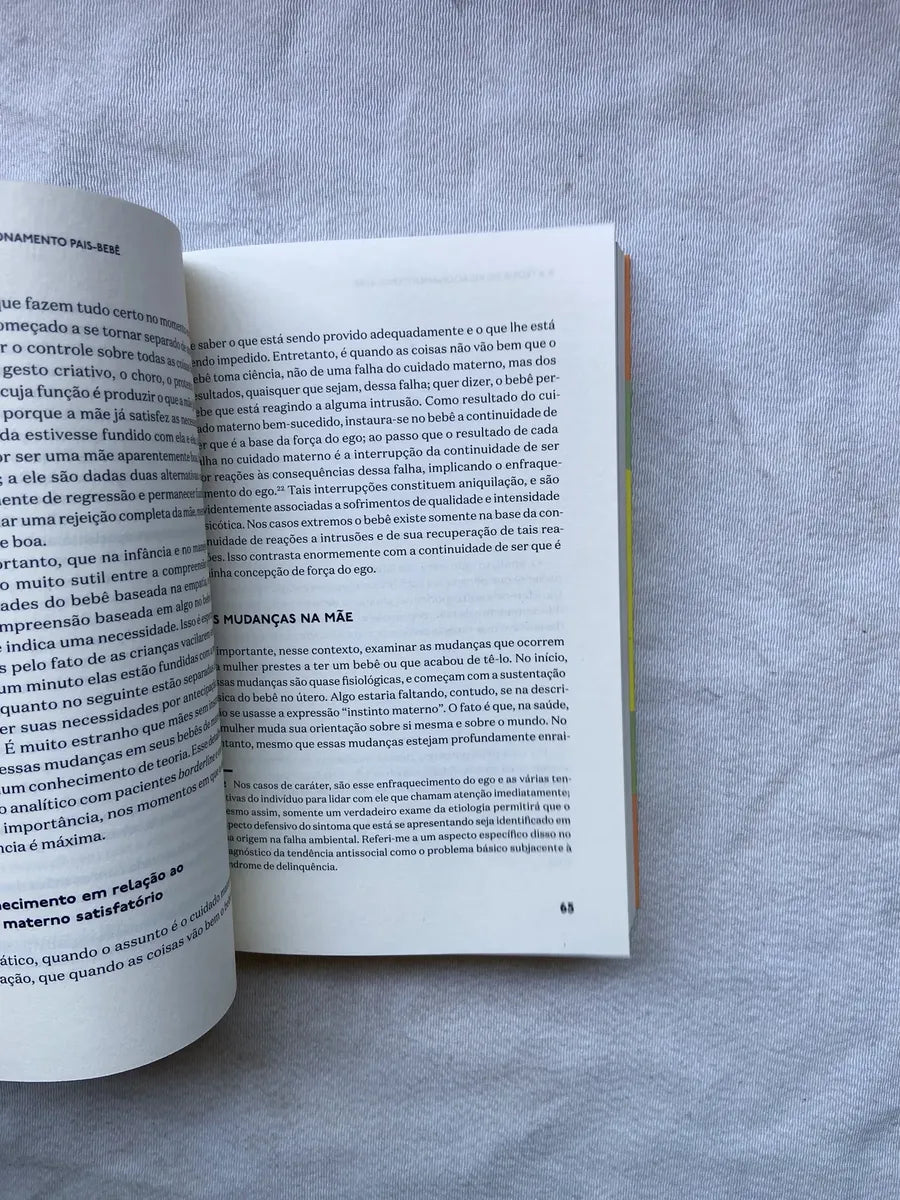 Livro Processo De Amadurecimento E Ambiente Facilitador (Usado)