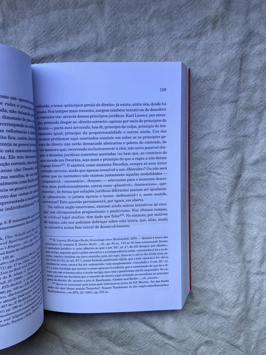 Livro Introdução A Filosofia Do Direito E Teoria Do Direito (Usado)