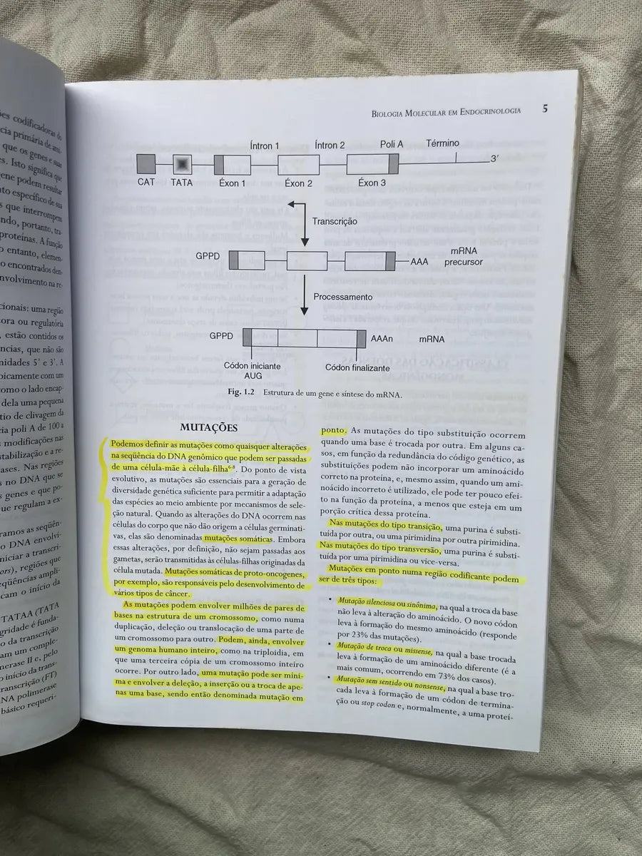 Livro Endocrinologia E Diabetes 2003 (Usado)