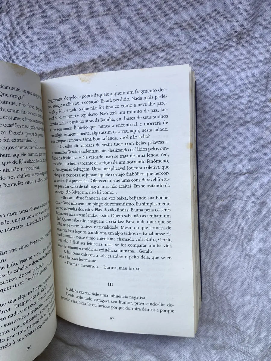 Livro A Espada Do Destino Andrezej Sapkowski Livro 2 (Usado)