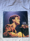 Lp Caetano Totalmente Demais 1986 (Usado)