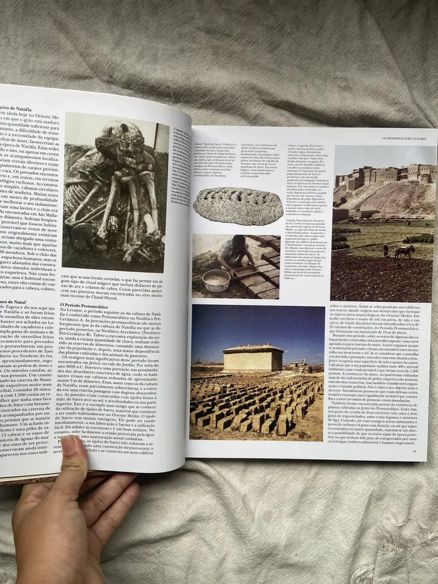 Livro Mesopotâmia Coleção Grandes Civilizações Do Passado (Usado)