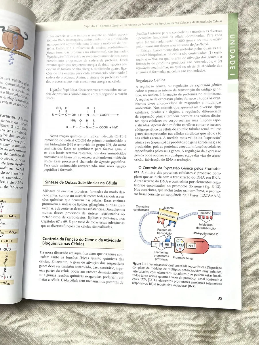 Livro Tratado De Fisiologia Médica Guyton E Hall Box 3 Vol (Usado)