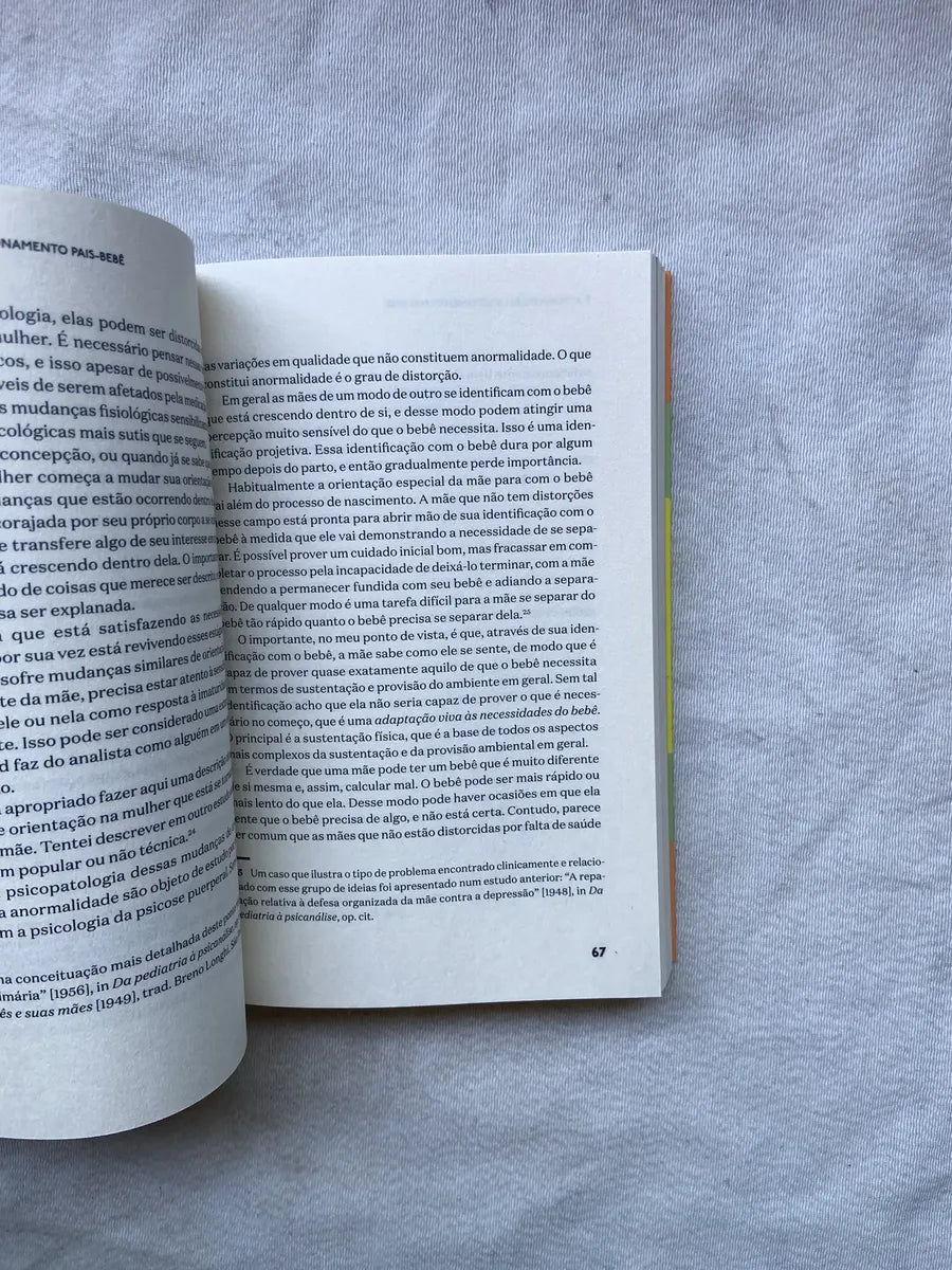 Livro Processo De Amadurecimento E Ambiente Facilitador (Usado)