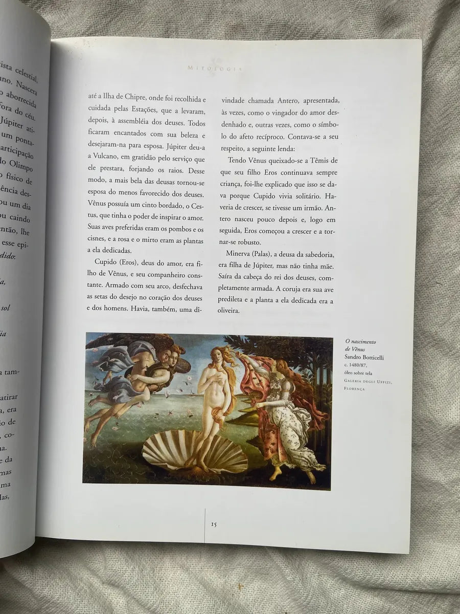 O Livro De Ouro Da Mitologia História De Deuses E Heróis (Usado)