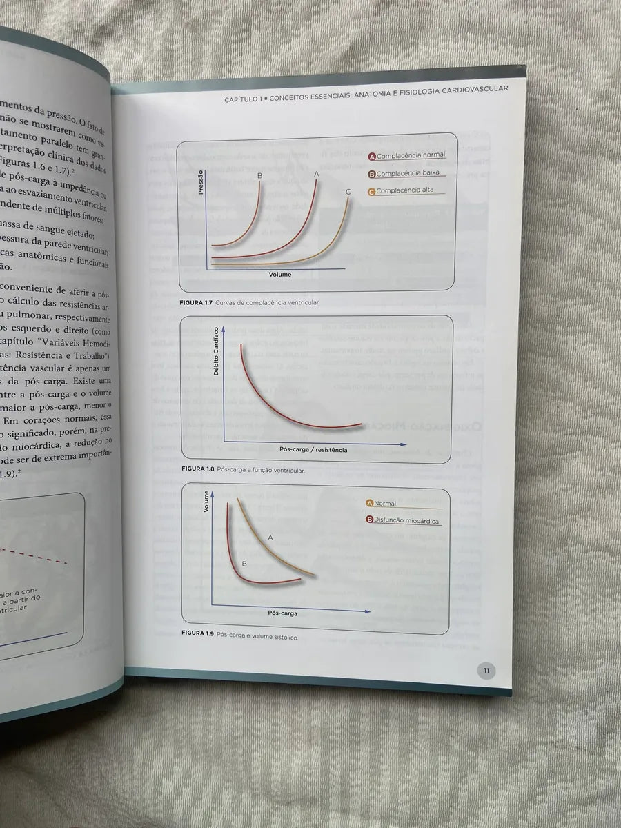 Livro Monitorização Hemodinâmica No Paciente Grave 1 Ed 2013 (Usado)