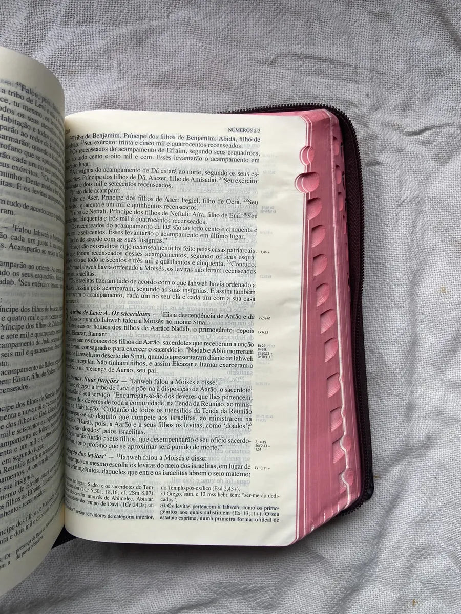 Livro Bíblia De Jerusalém Nova Edição Revista 2002 (Usado)
