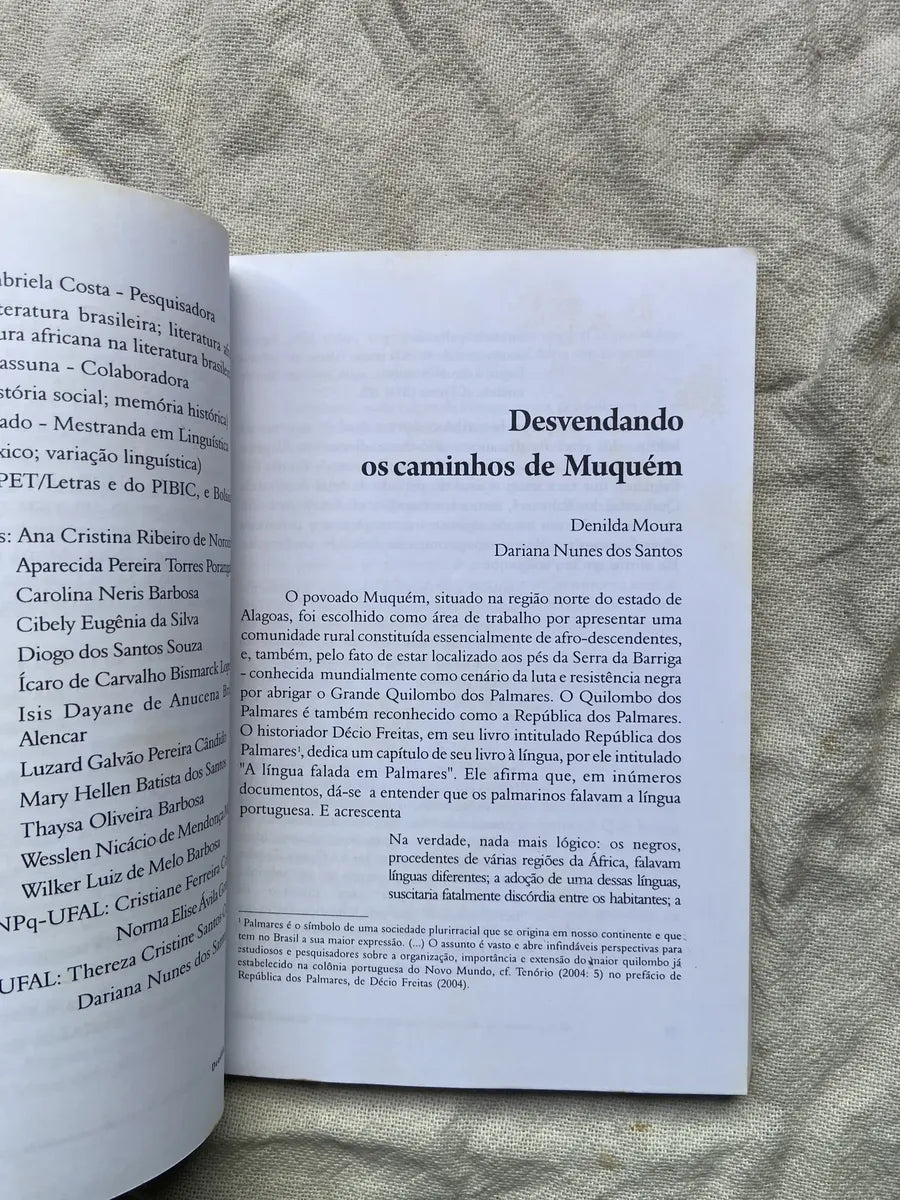 Livro Resquício De Palmares O Que Uma Comunidade (Usado)