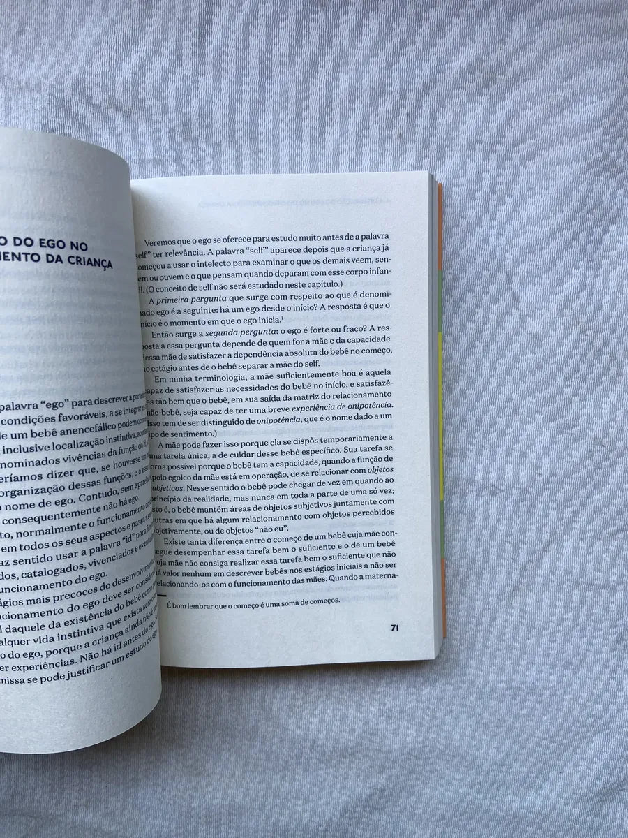 Livro Processo De Amadurecimento E Ambiente Facilitador (Usado)
