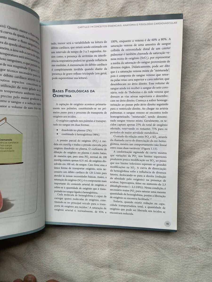 Livro Monitorização Hemodinâmica No Paciente Grave 1 Ed 2013 (Usado)