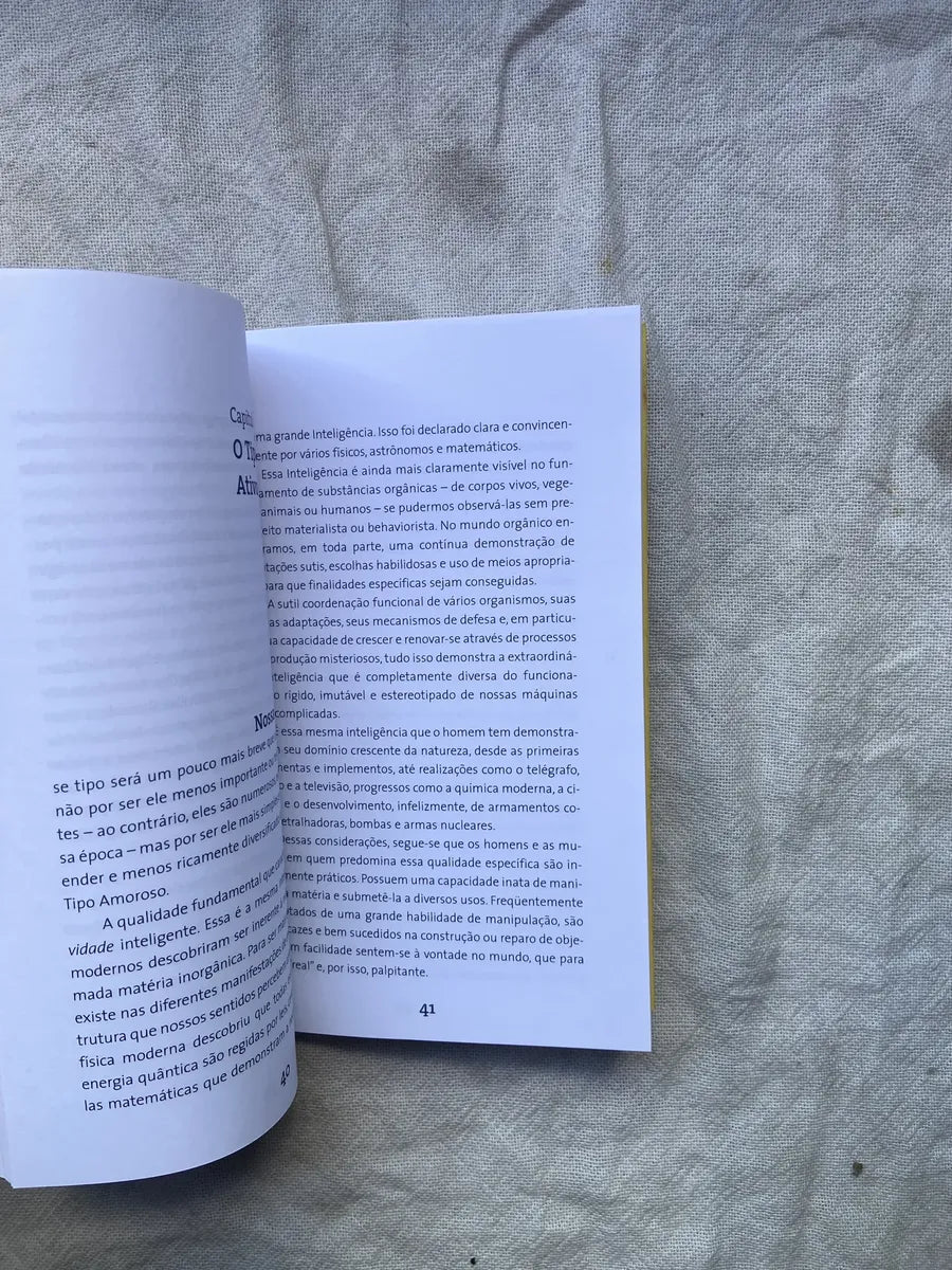 Livro Os 7 Tipos Humanos O Poder Das Motivações Profundas (Usado)