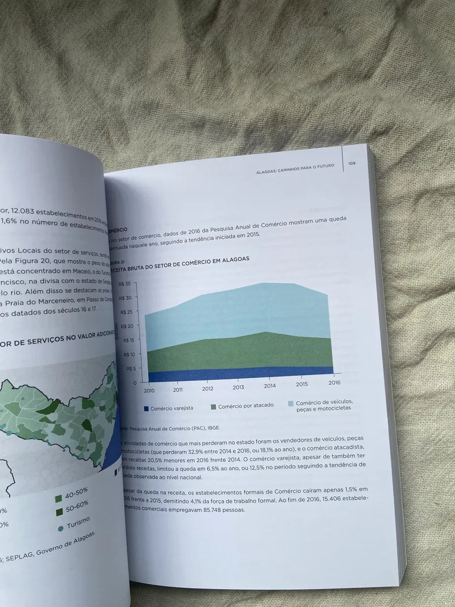 Livro Alagoas Caminha Para O Futuro 2019 (Usado)