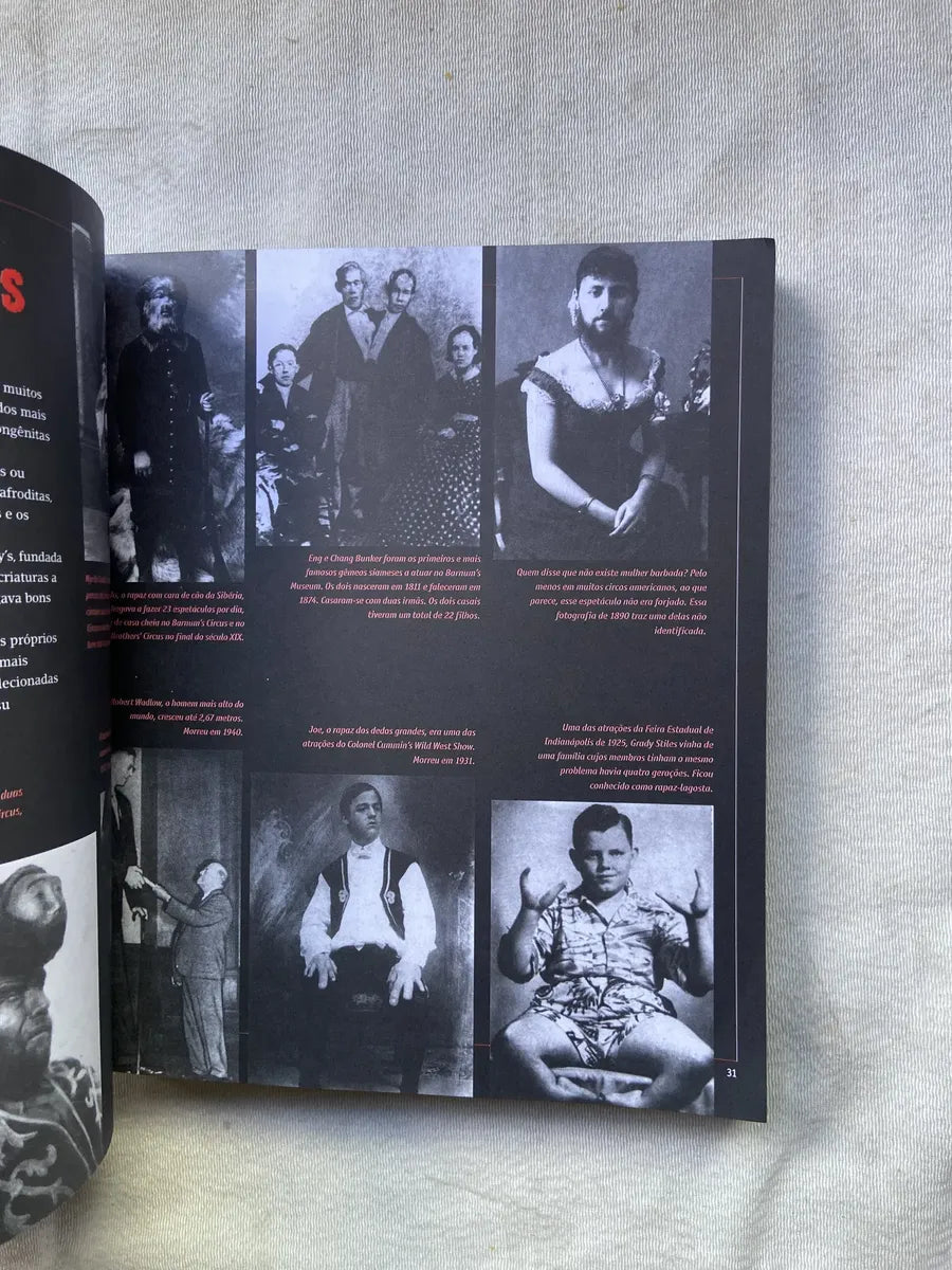 Livro Enciclopédia Dos Monstros 2008 (Usado)