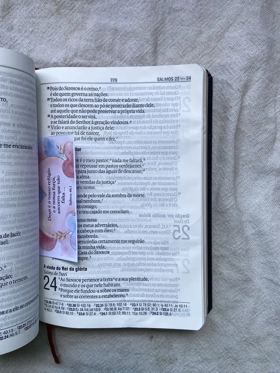 Livro Bíblia Sagrada Letra Gigante Nova Almeida Atualizada (Usado)