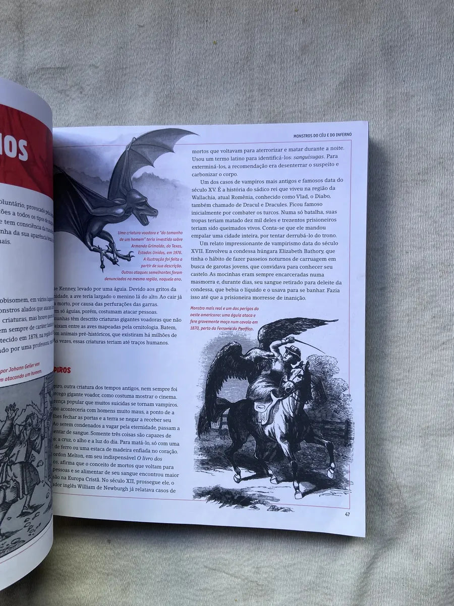 Livro Enciclopédia Dos Monstros 2008 (Usado)