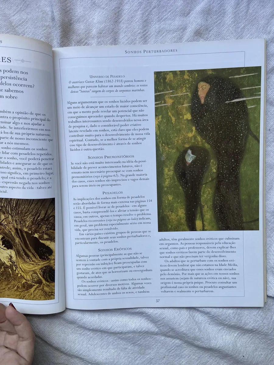 Livro O Livro Ilustrado Dos Sonhos 2 Edição 2001 (Usado)