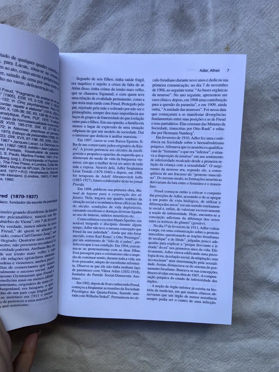 Livro Dicionário De Psicanálise Elisabeth Roudinesco 1998 (Usado)