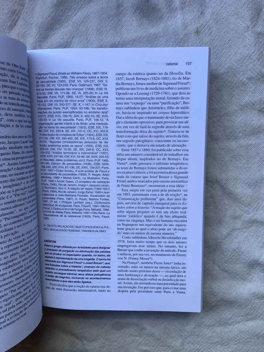 Livro Dicionário De Psicanálise Elisabeth Roudinesco 1998 (Usado)