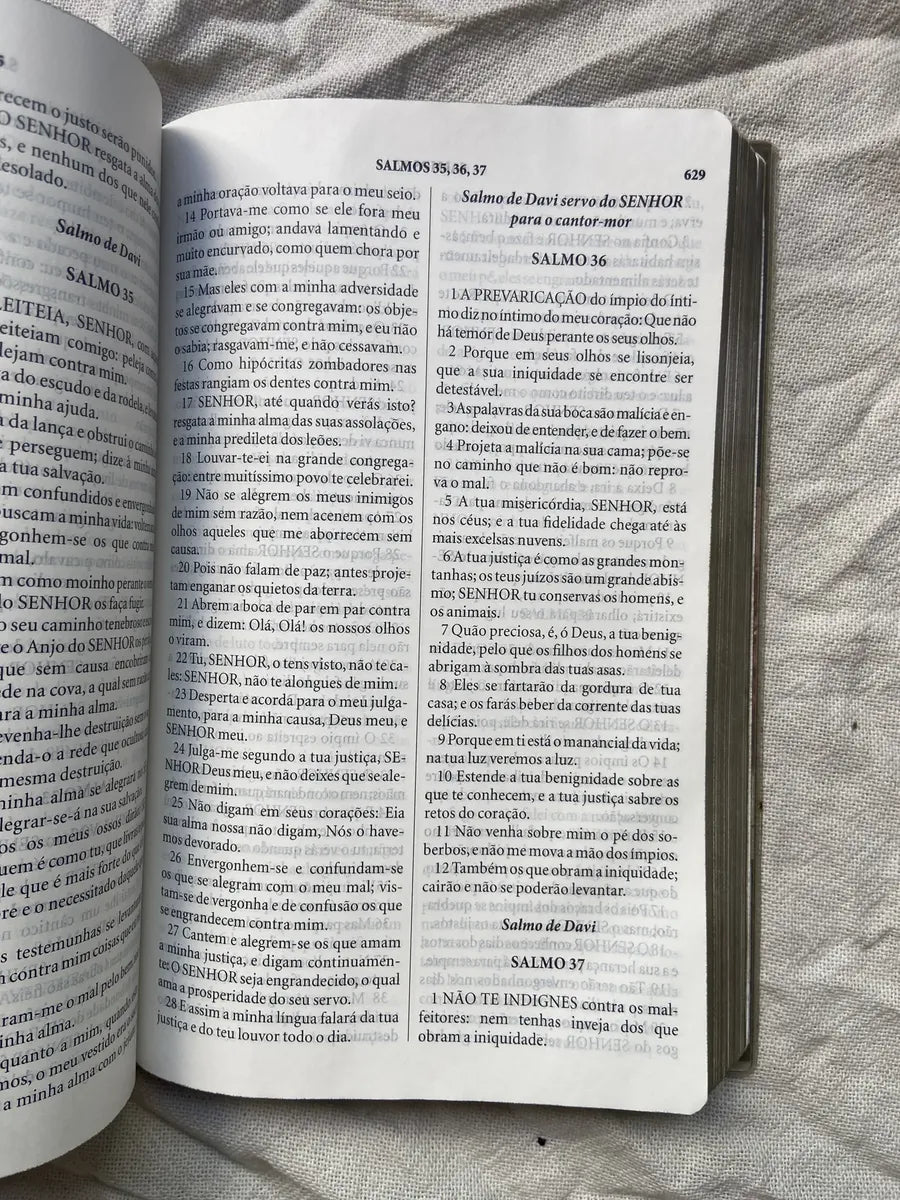 Livro Bíblia Sagrada João Ferreira De Almeida Letras Grandes (Usado)