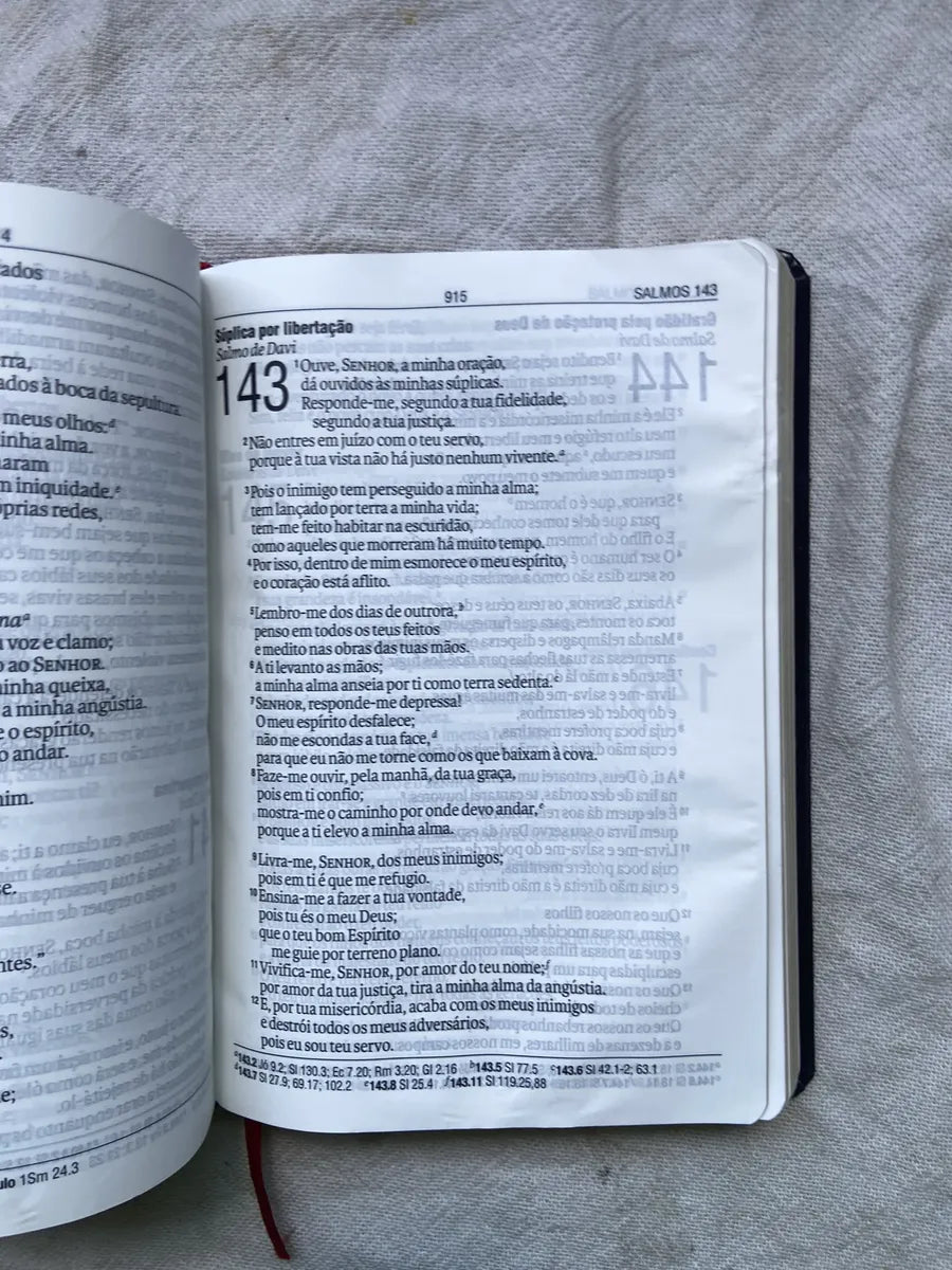 Livro Bíblia Sagrada Letra Gigante Nova Almeida Atualizada (Usado)