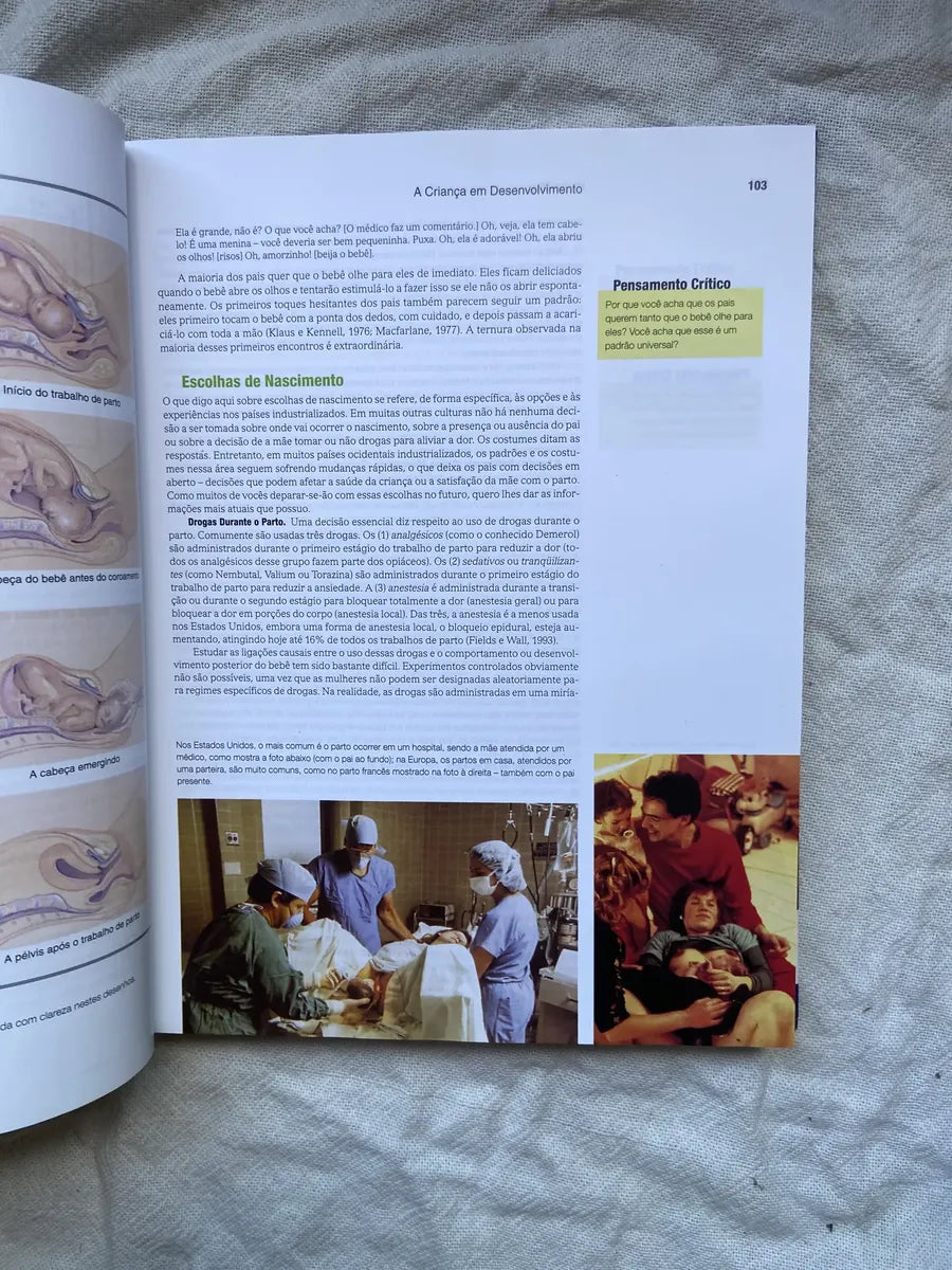 Livro A Criança Em Desenvolvimento Helen Bee 9 Edição 2003 (Usado)