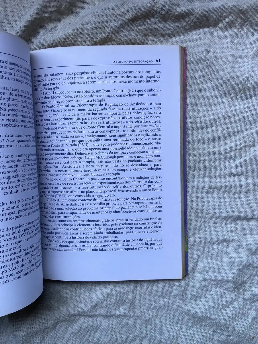 Livro O Futuro Da Integração Desenvolvimentos (Usado)