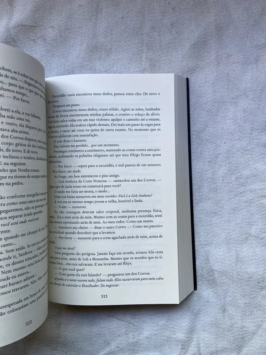 Livro Corte De Asas E Ruínas Vol 3 Sarah J Maas 16 Ed 2020 (Usado)