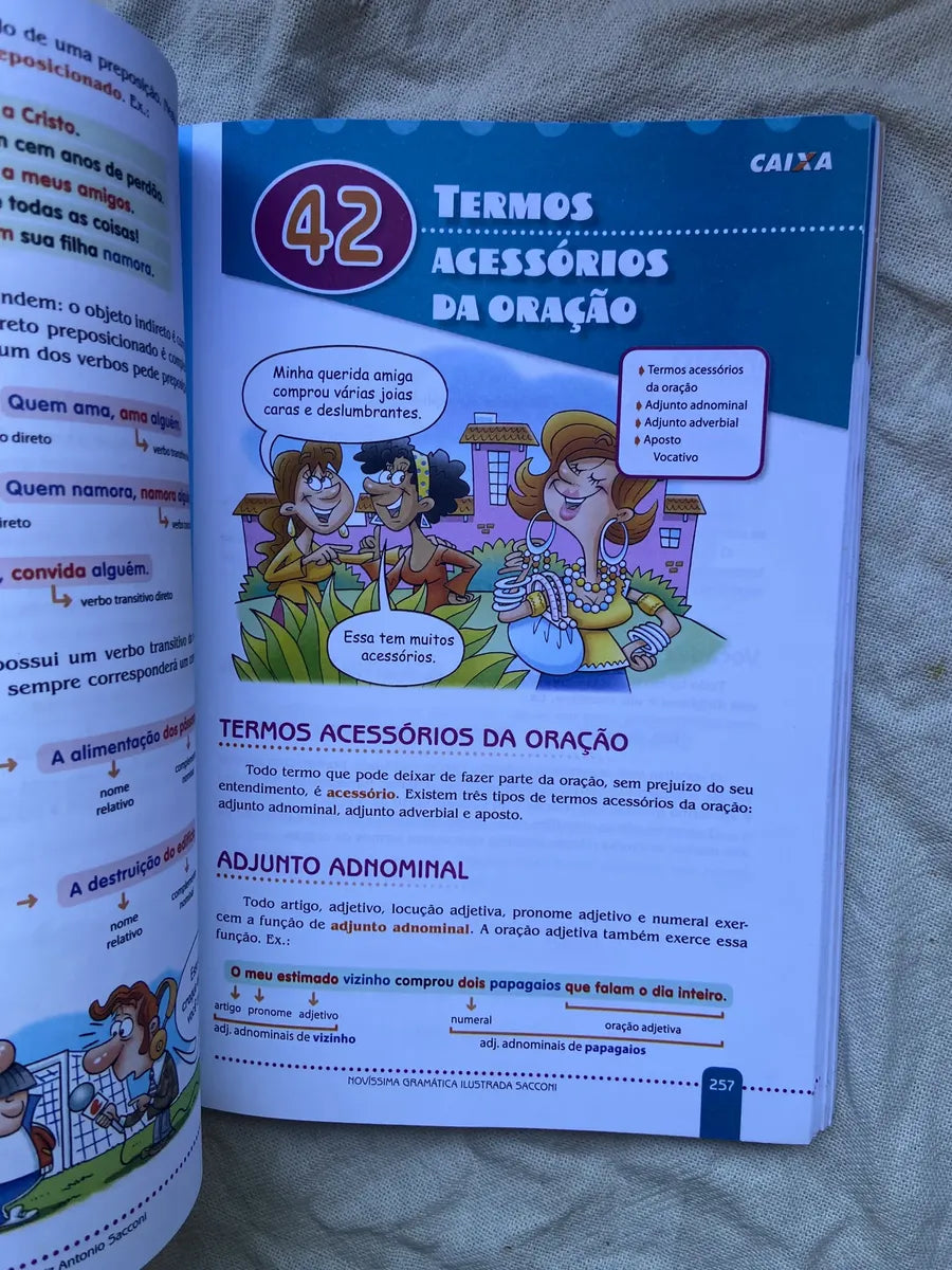 Livro Novíssima Gramática Ilustrada Sacconi 2008 (Usado)