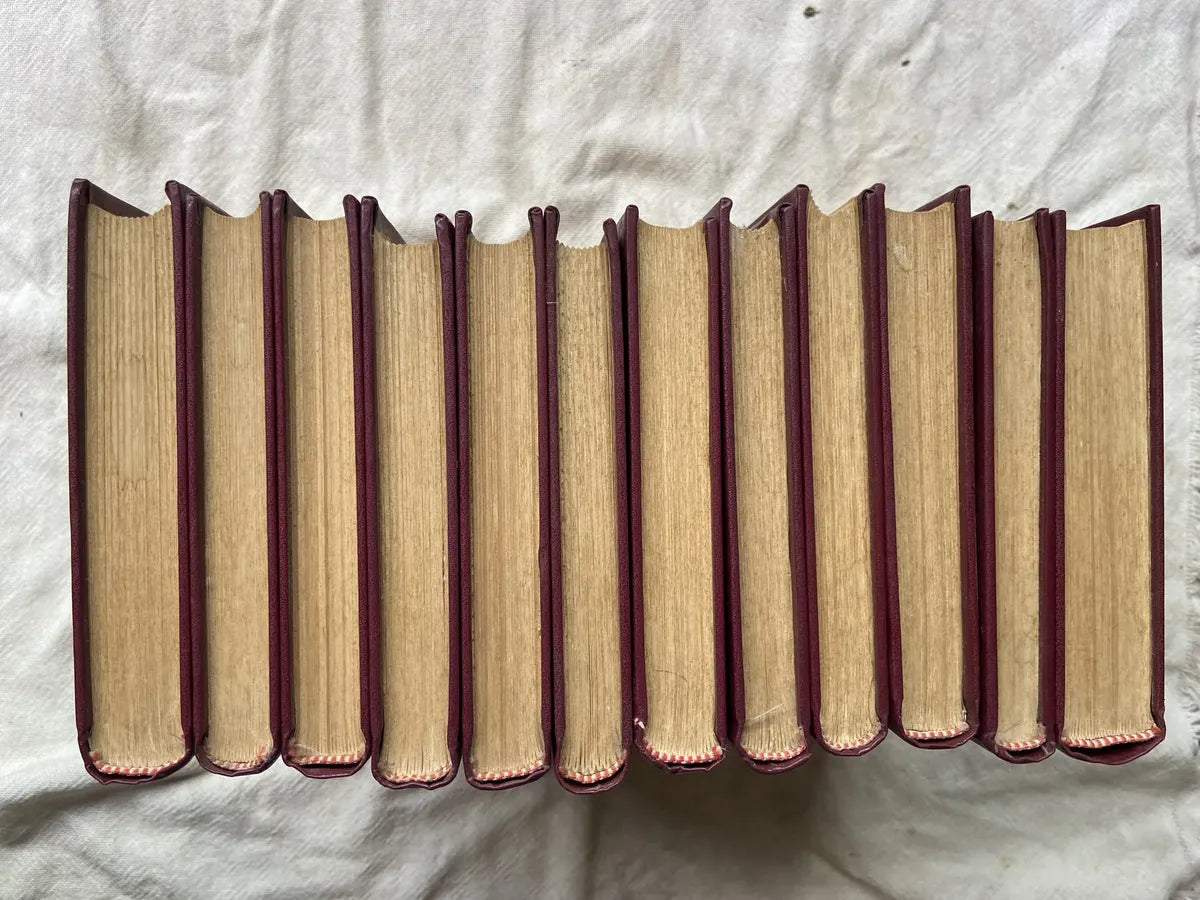 Livro Obras Psicológicas Completas Sigmund Freud Box 24 Vol (Usado)