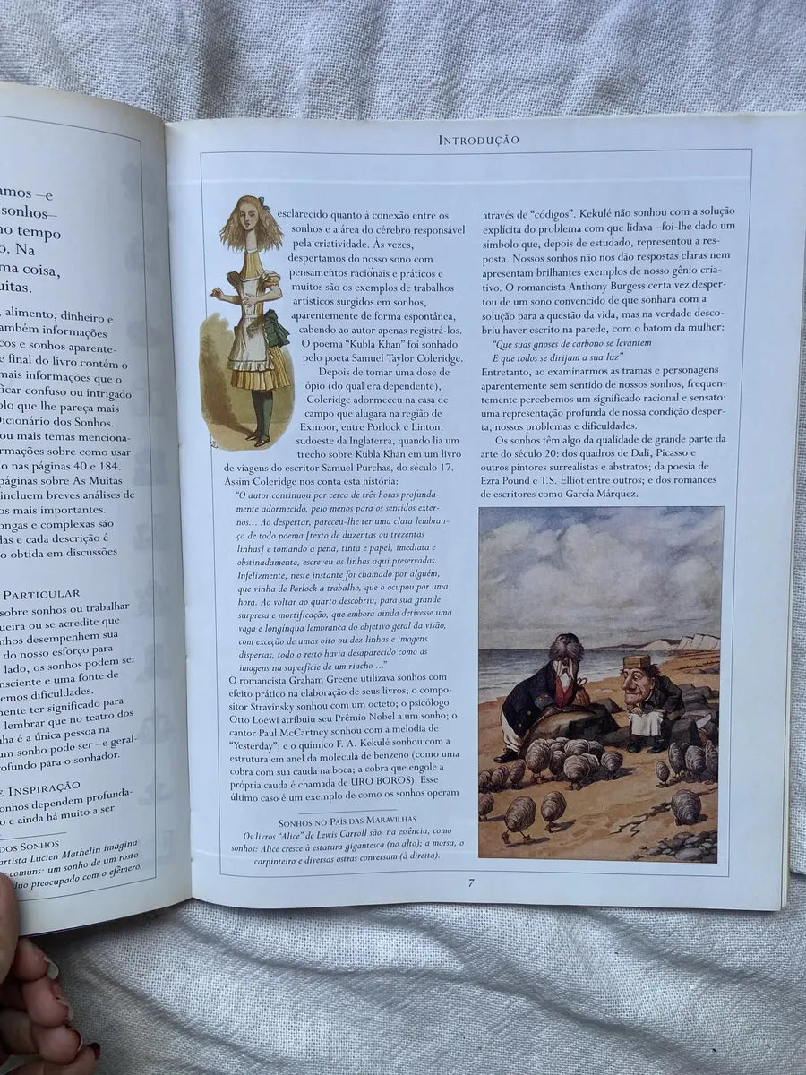 Livro O Livro Ilustrado Dos Sonhos 2 Edição 2001 (Usado)