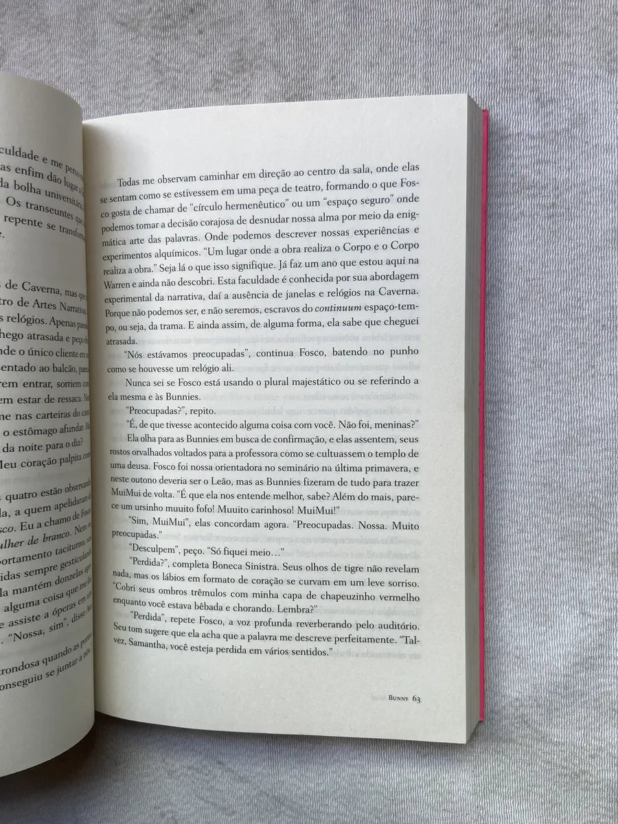 Livro Bunny Mona Awad 1° Edição 2024 (Usado)