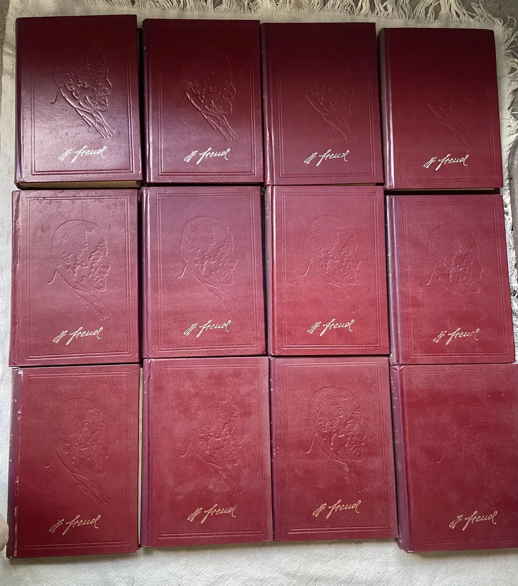 Livro Obras Psicológicas Completas Sigmund Freud Box 24 Vol (Usado)