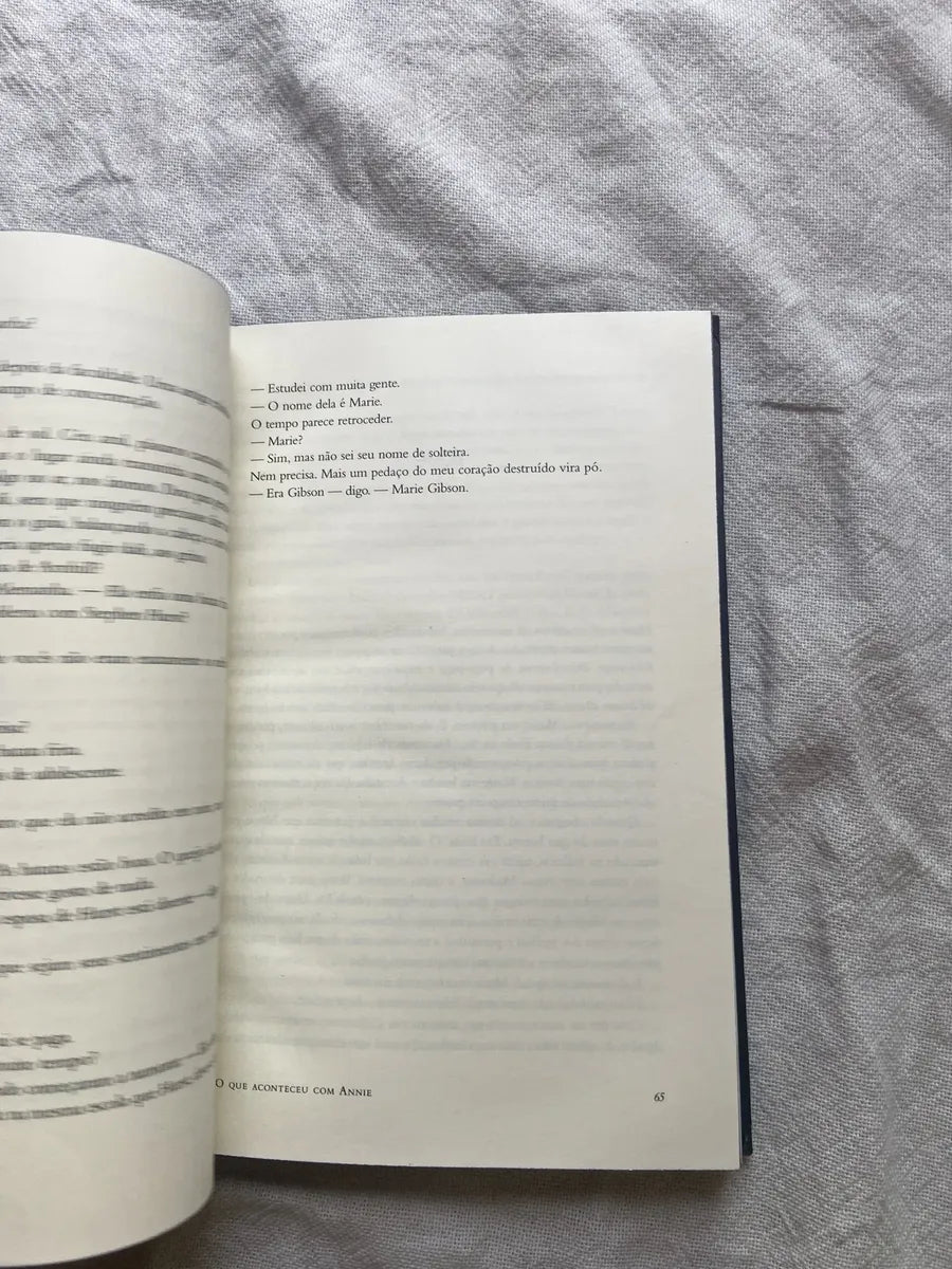 Livro Oque Acontceu Com Annie C J Tudor Capa Dura (Usado)